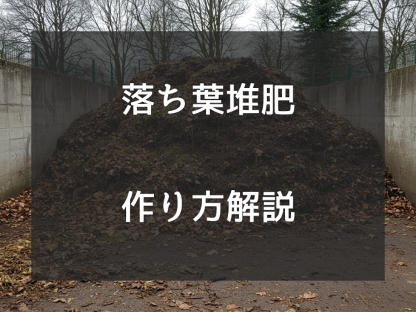 落ち葉堆肥の簡単な作り方｜初心者でも失敗しないためのコツをご紹介
