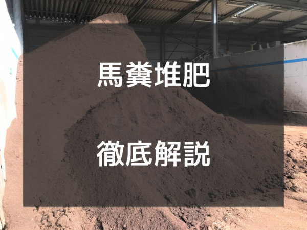 馬糞堆肥を徹底解説！牛糞堆肥やその他の動物性堆肥との比較もご紹介サムネイル