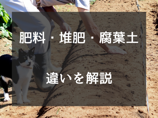 肥料・堆肥・腐葉土の違いを徹底解説｜元肥や培養土との使い分けも紹介サムネイル