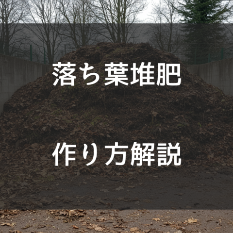 落ち葉堆肥の簡単な作り方｜初心者でも失敗しないためのコツをご紹介サムネイル